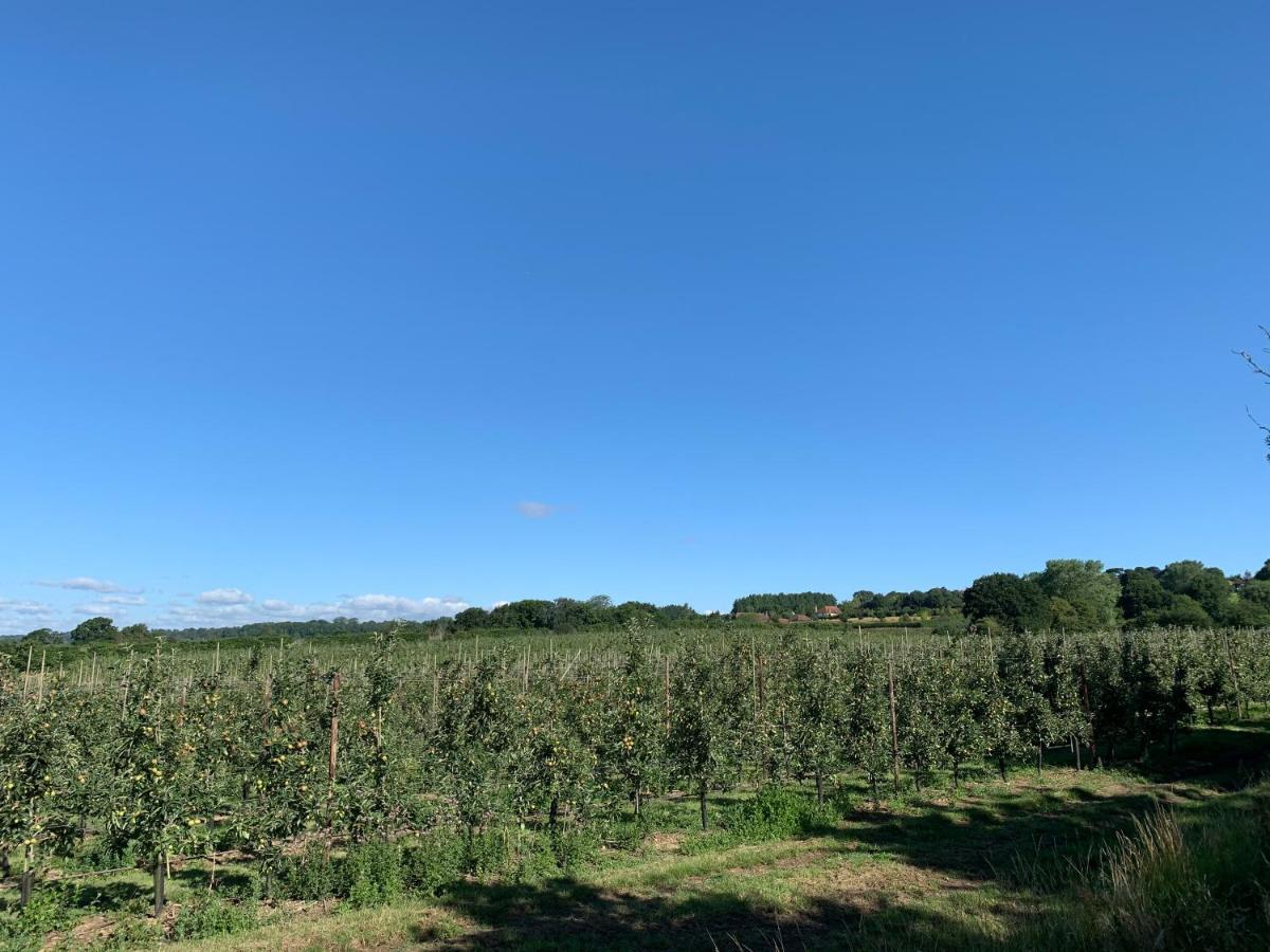 Blackberry Cottage Sutton Valence Экстерьер фото