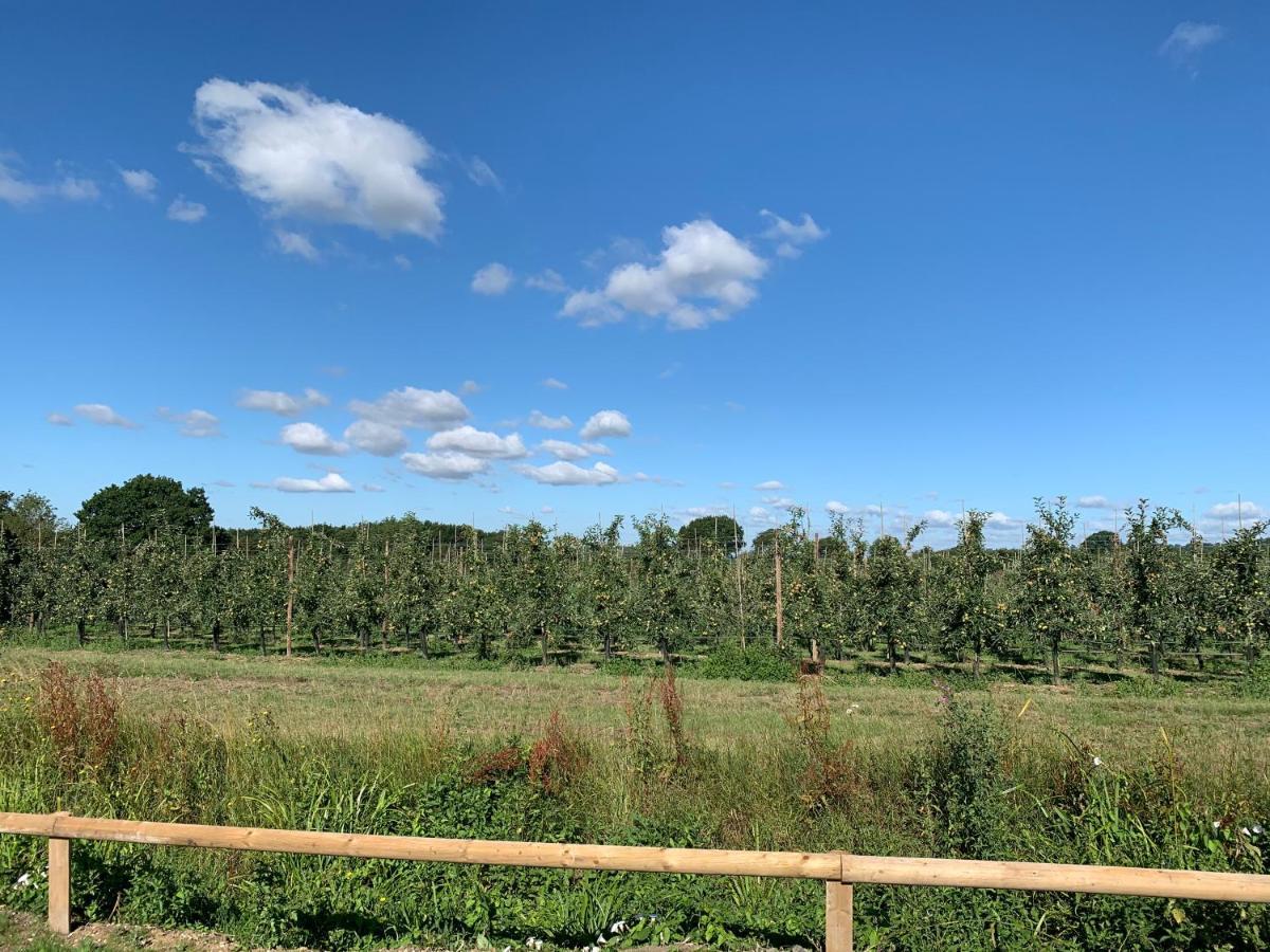 Blackberry Cottage Sutton Valence Экстерьер фото
